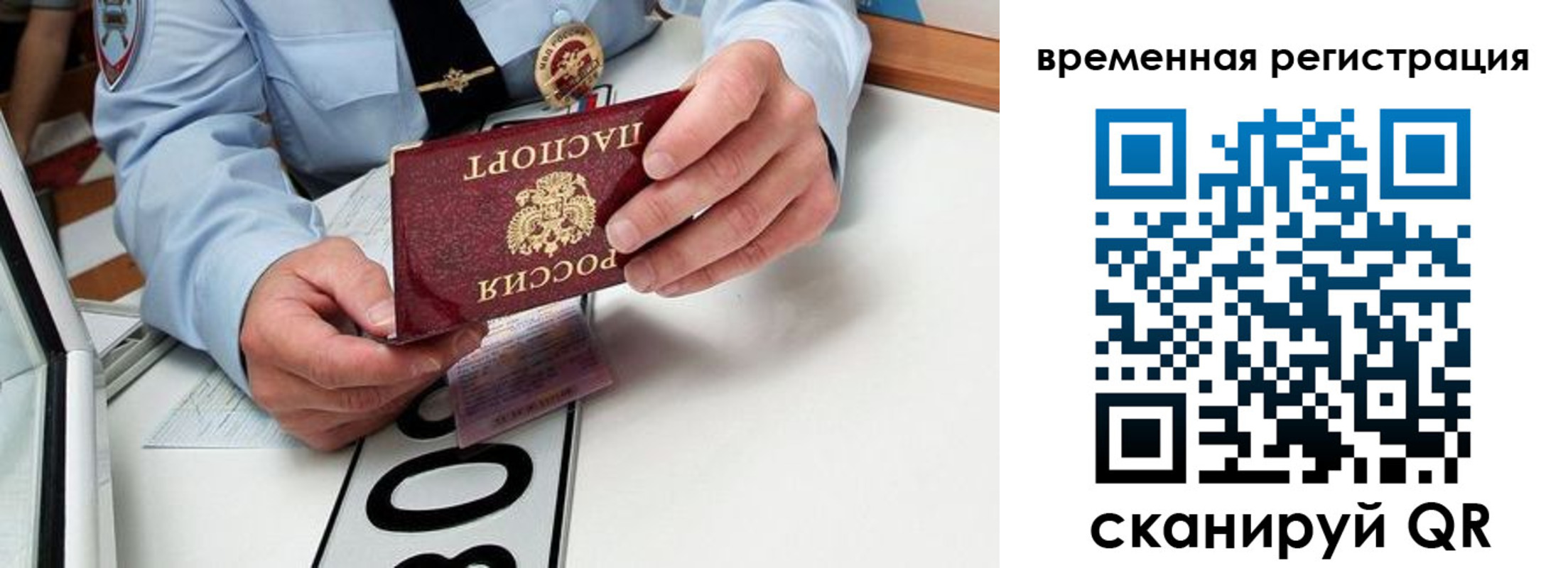 прописка гарантия в Сафоново